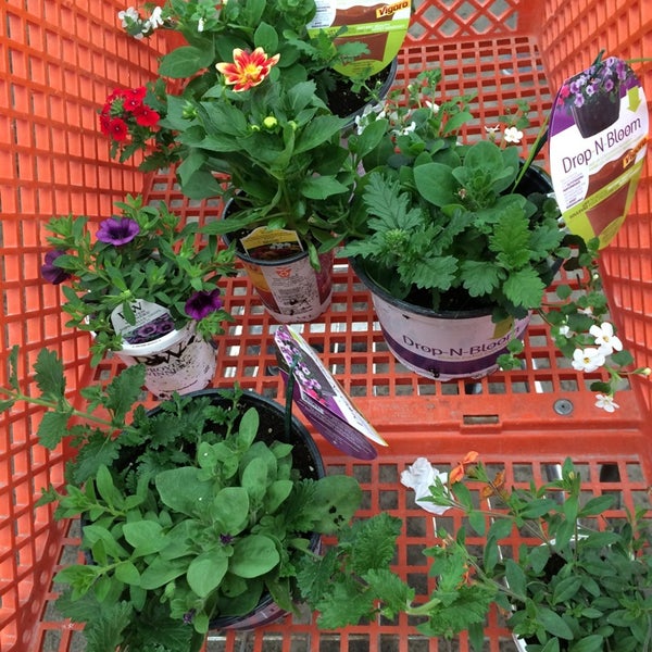 The Home Depot Winnipeg, MB