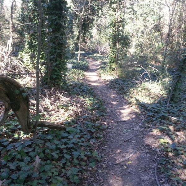 Oak Cliff Nature Preserve Southwest Dallas 2 Tips