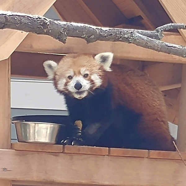 Photo taken at Seneca Park Zoo by Jim T. on 8/10/2019