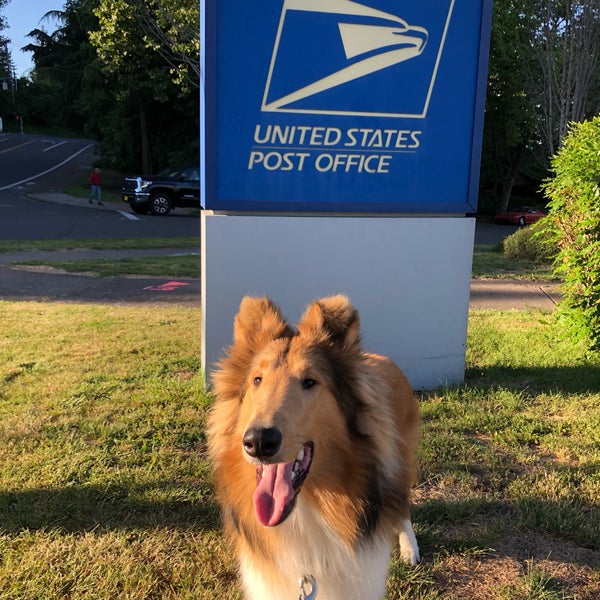 are dogs allowed in post office