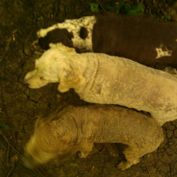 Photo taken at Toys"R"Us by Rick C. on 1/8/2014