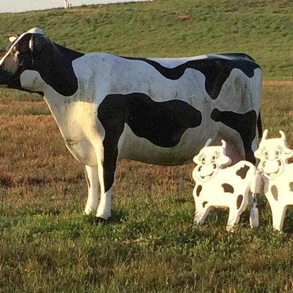 Va Beach Landfill Kempsville 2 tips from 200 visitors