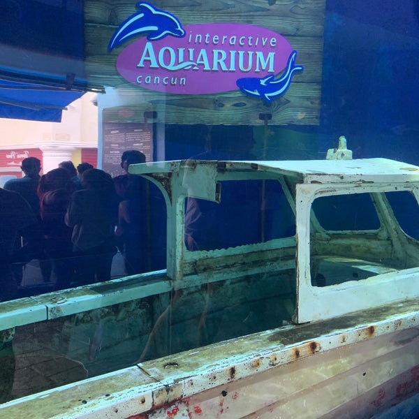 Photo taken at Aquarium Cancun by Cheko V. on 1/27/2019