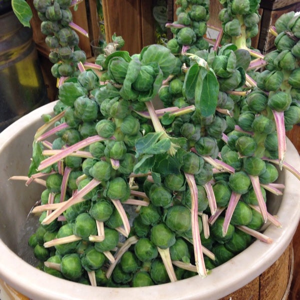 Photos at Sprouts Farmers Market Farmers Market in Richardson