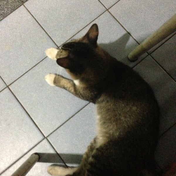 Photos at Nasa tomyam&seafood (kedai hijau) Pasir penambang - 6 tips