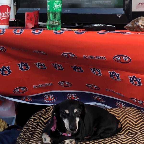 Auburn Hayfield Tailgating University