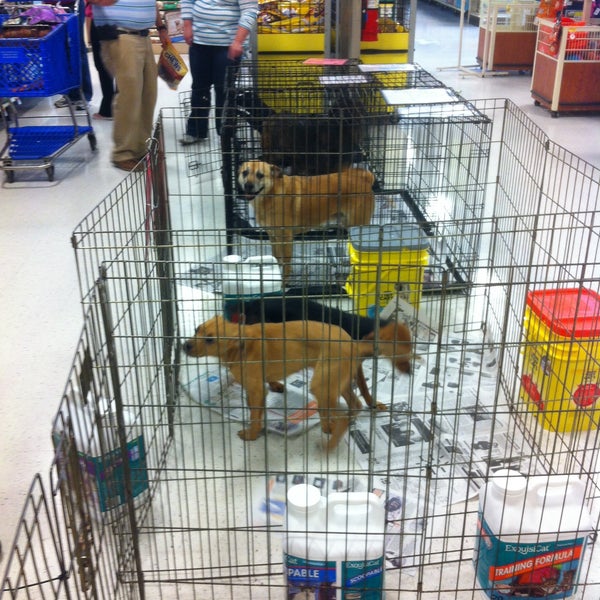 PetSmart Birmingham, AL