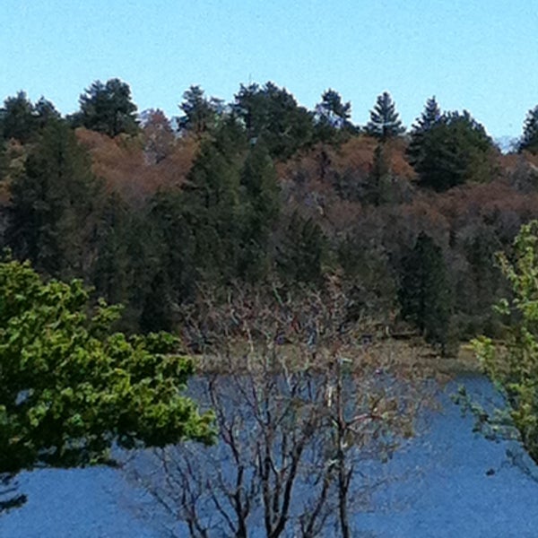 Lake Cuyamaca - Julian, CA