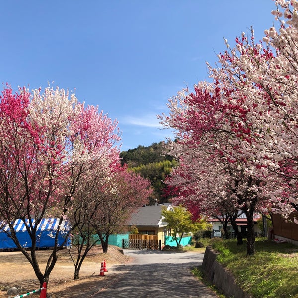 Photos At 昼神温泉 朝市 智里346
