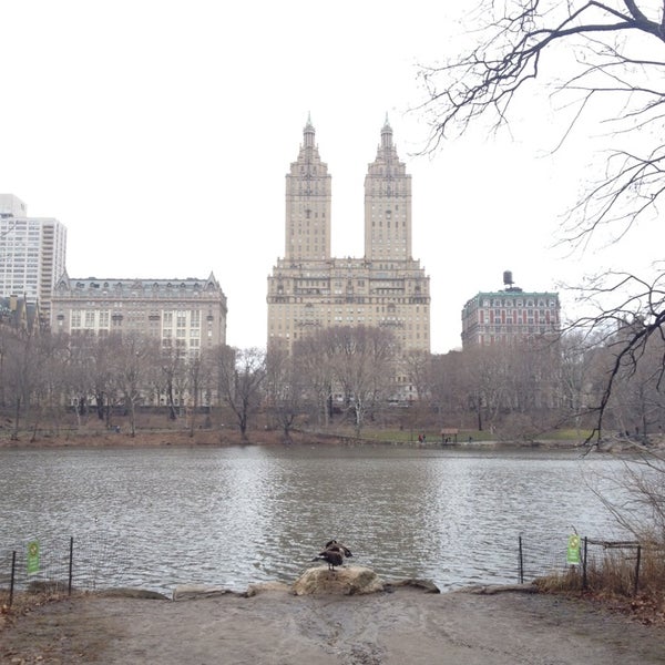 Снимок сделан в Central Park Sightseeing пользователем Olya C. 3/30/2014