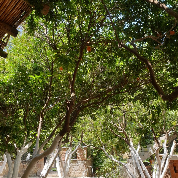 Yalıkavak Nar Çiçeği Kahvaltı Evi - Merkez Mah. Kayacık Cad. No:42