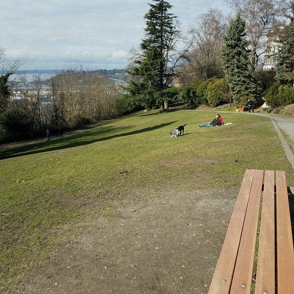 куртка офф вайт зима. Bush paradise. Park off. Park off. парк центральный балаково.