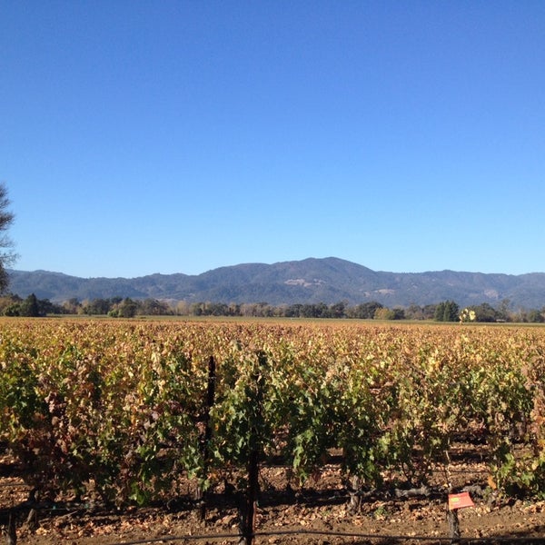 Photo taken at PlumpJack Winery by Michael P. on 10/31/2013