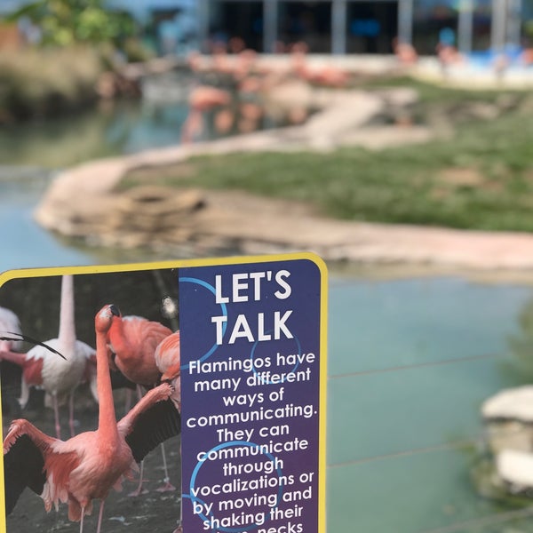 Foto scattata a Miami Seaquarium da JPo P. il 8/9/2019