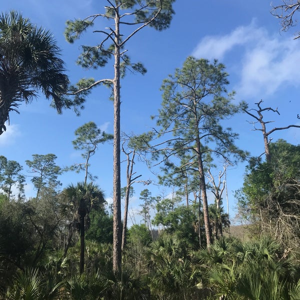 2/12/2020에 Gary M.님이 Audubon&#39;s Corkscrew Swamp Sanctuary에서 찍은 사진