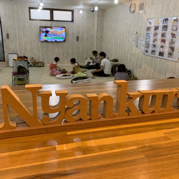 Photos At 譲渡型猫カフェ にゃんくる 蒲田店 蒲田 東京 東京都 Photos At 譲渡型猫カフェ にゃんくる 蒲田店 蒲田 東京 東京都