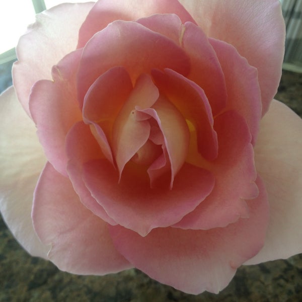 New York Hair Company Hair Salon in Bradenton