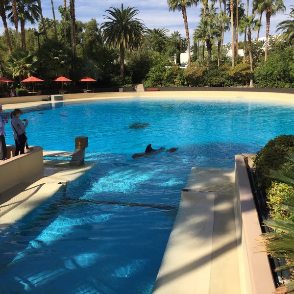 Photos at The Mirage Aquarium Aquarium