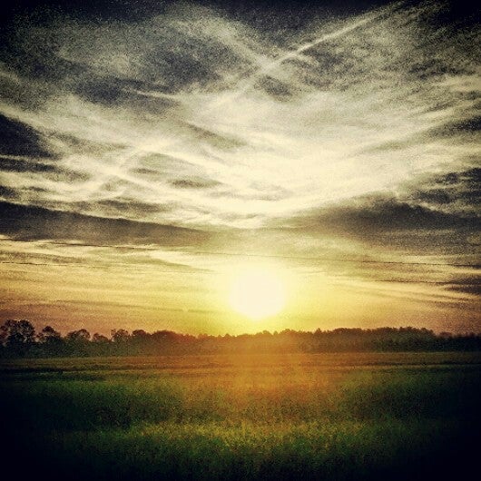 GTC Gateway 7 Cinemas Thomasville, GA