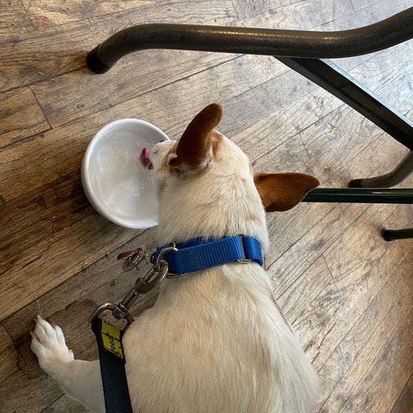 Nutshell Eatery & Bakery 6 tips