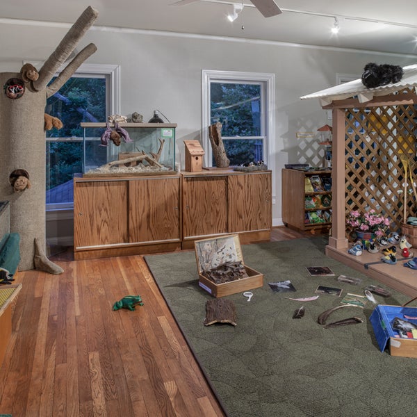 Nature Discovery Center Other Great Outdoors in Bellaire