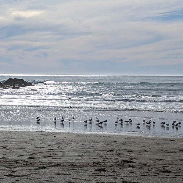 Photo taken at Moonstone Beach by Nancy S. on 2/27/2022