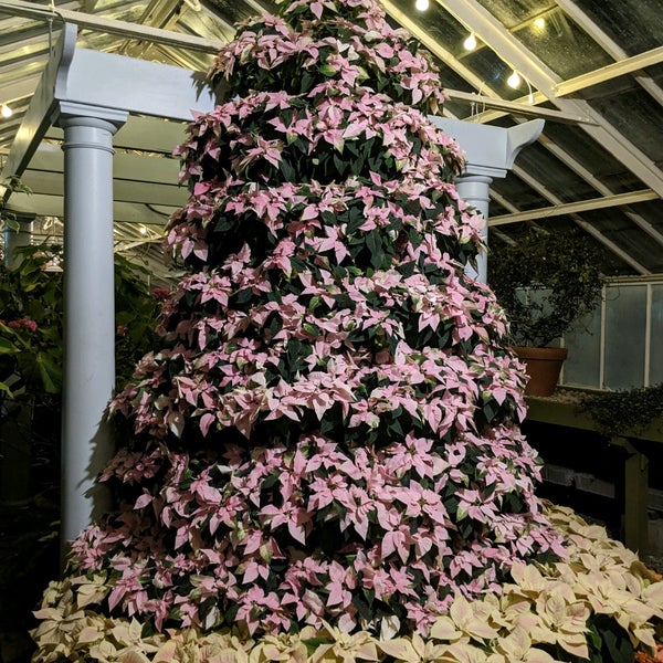 รูปภาพถ่ายที่ Buffalo &amp; Erie County Botanical Gardens โดย Nancy S. เมื่อ 12/19/2020