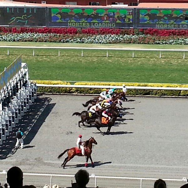 Turf Club Del Mar Racetrack 3 tips