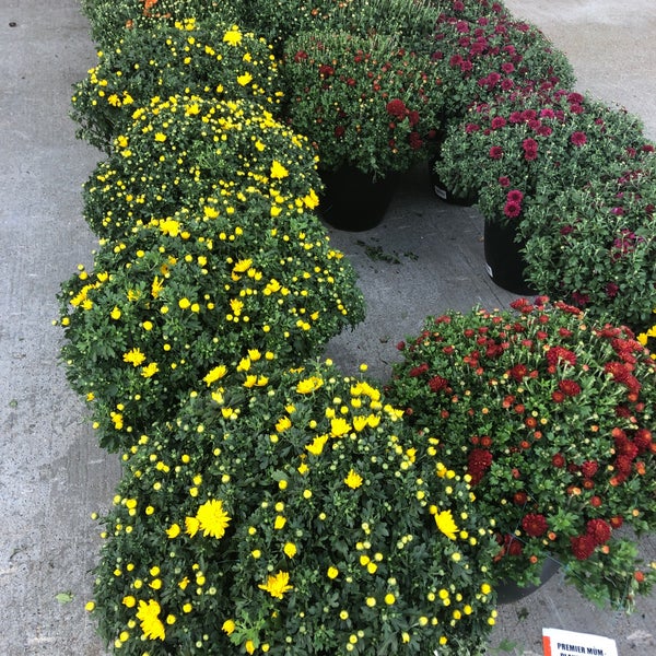 The Home Depot Downtown New Rochelle 10 tips