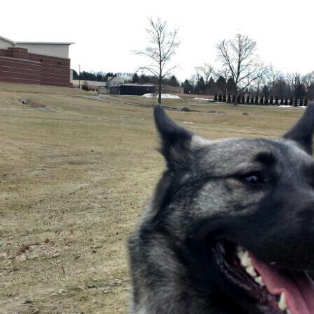 Photo taken at Northampton Community College by Jon G. on 3/15/2014