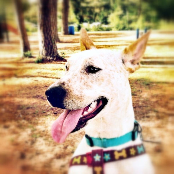 Photos at Fountain Park Warner Robins, GA