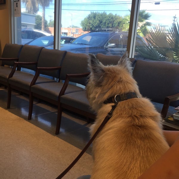 Photo taken at Overland Veterinary Clinic by Andrew P. on 9/2/2015