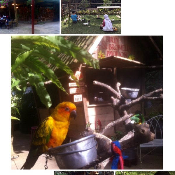 Photos At Bird Bromelia Pavilion