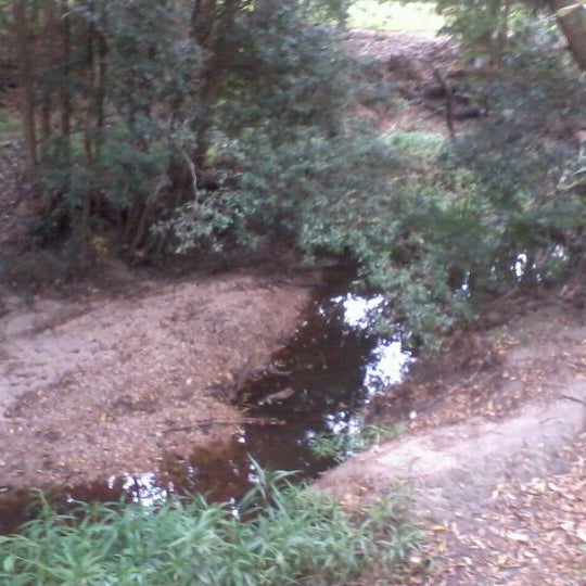 Little Cabbage Tree Creek Hiking Trail in Aspley