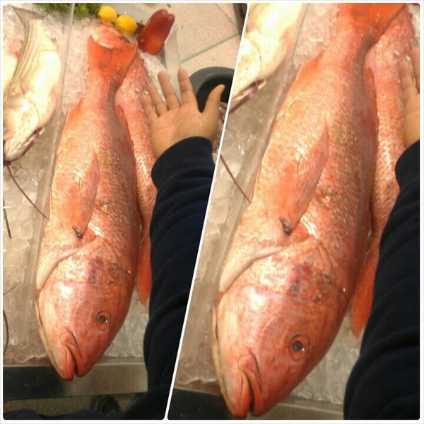 Photos at H Mart Gaithersburg, MD