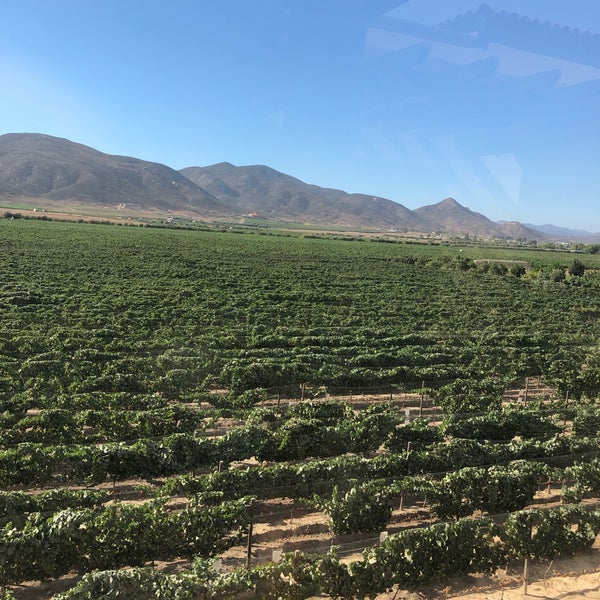 7/28/2019 tarihinde Aleyda G.ziyaretçi tarafından El Cielo Valle de Guadalupe'de çekilen fotoğraf