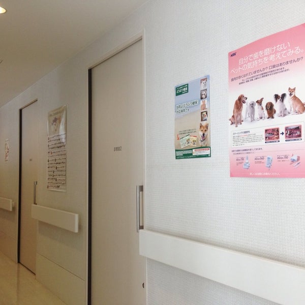 Photos At 福岡中央動物病院 1 Tip From 7 Visitors