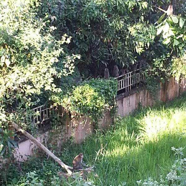 Jogging Track Taman Ujana Kingfisher Roundabout Taman Ujana Kingfisher