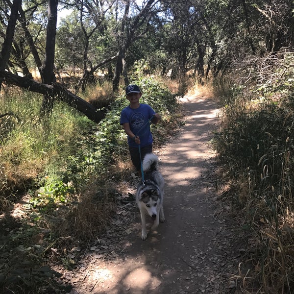 Shady Oaks Disc Golf Course 3 Tips From 198 Visitors