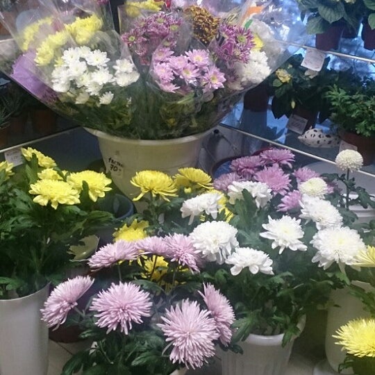 Магазин цветов вывеска. Цветочный свердлова. Мужские букеты флористической губке. Цветочный магазин боготол. Цветочный свердлова.