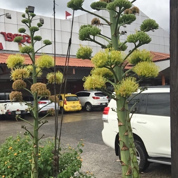 Campo Lindbergh Neighborhood