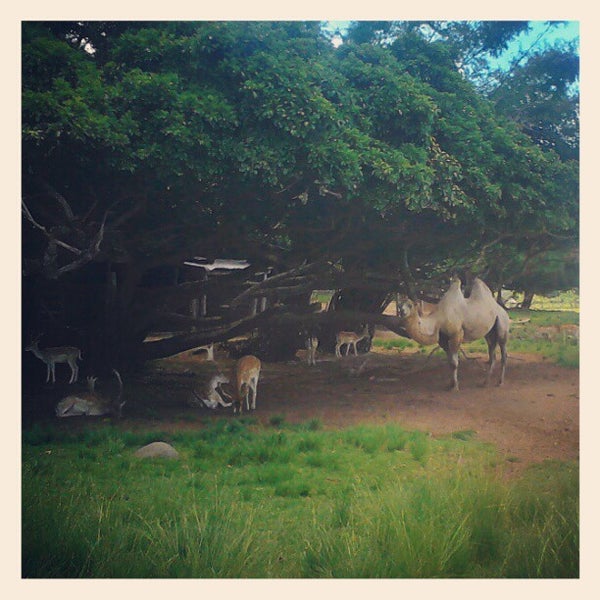 2/16/2013 tarihinde Andre A.ziyaretçi tarafından Pampas Safari'de çekilen fotoğraf