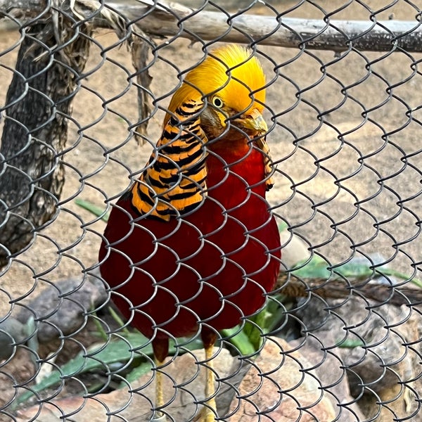 Photo taken at Phoenix Zoo by Alexei M. on 2/18/2023