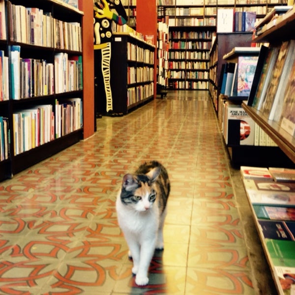 Con ustedes, la reina de la librería.