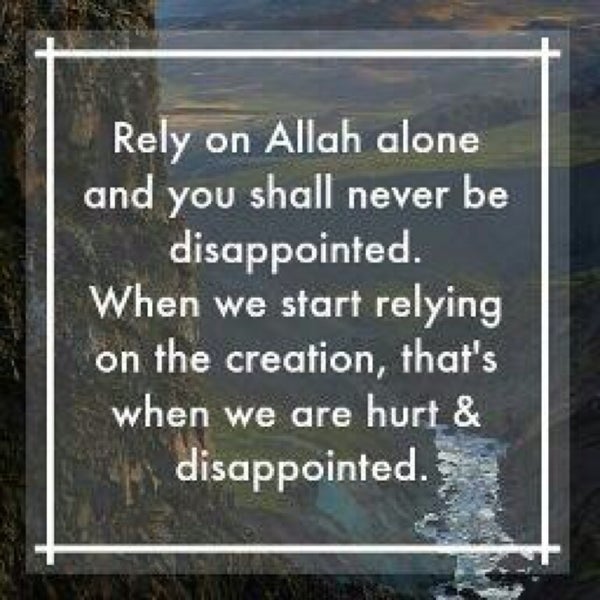 I was disappointed when i. I was disappointed when i. Reality often disappointing. Sylvester the cat. Zorg disappointed.