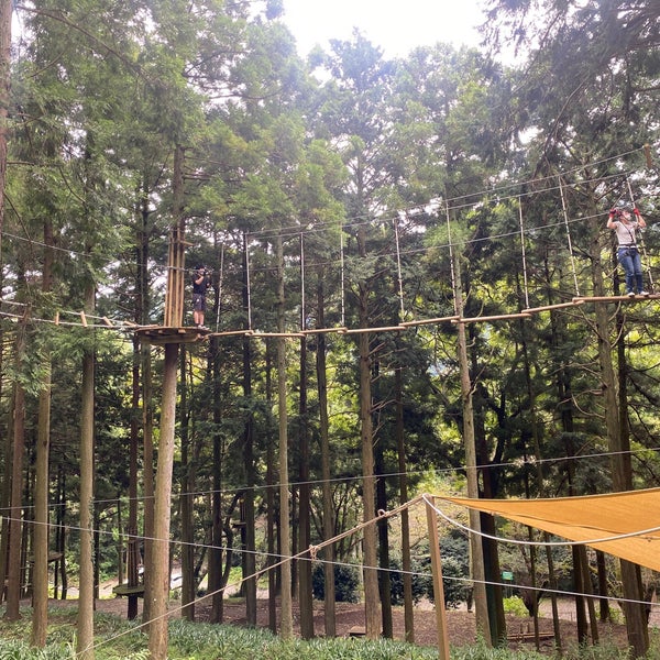 Photos At Forest Adventure Hakone フォレストアドベンチャー 箱根 4 Tips Photos At Forest Adventure Hakone フォレストアドベンチャー 箱根 4 Tips