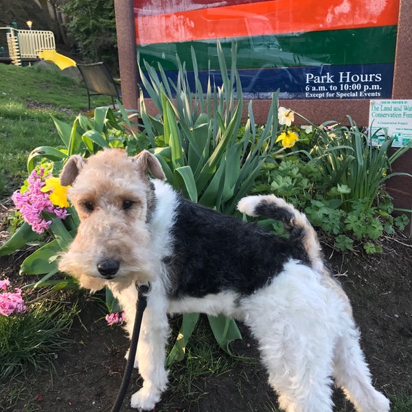 Photos at Prentis I. Frazier Park Capitol Hill Seattle, WA