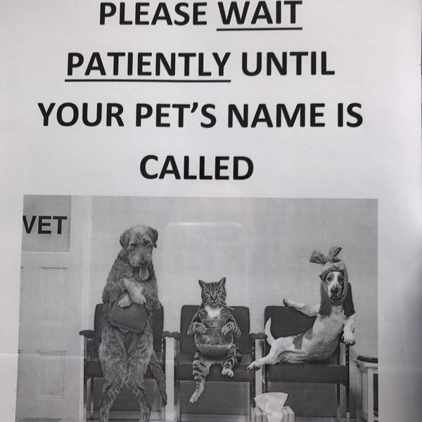 Bangsar veterinary sale clinic