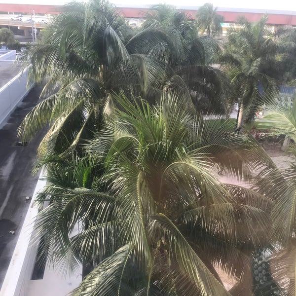 Foto scattata a Miami Airport Marriott da Tony D. il 11/7/2019