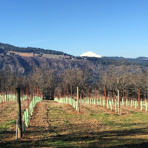 Photo taken at Cathedral Ridge Winery by Clark R. on 3/8/2015